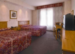 Nugget Buffet Picture