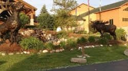 The Lodge Picture