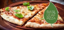 BASIL LEAF PIZZA Picture
