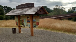 Longhouse Picture