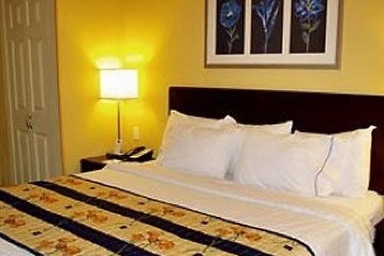 Springhill Suite Premium Room