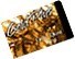 Gold Plus