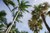Fort Lauderdale Florida Image