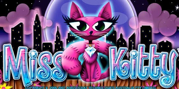 Exploring Wonder 4 Miss Kitty