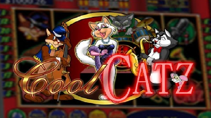 bonus im cool cat casino sichern — Test & Tipps für Spieler aus Deutschland